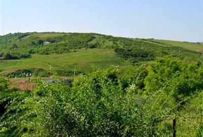 Teren Construcții intravilan de 2030 mp, în Bucium