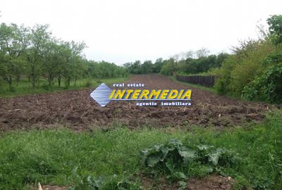 Teren intravilan de vanzare in zona Oarda cu utilitati - 1