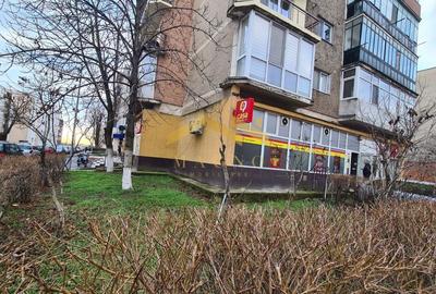 SPATIU COMERCIAL DE VANZARE IN ZONA ALFA. - 2