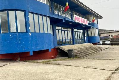 De vanzare! Spatiu comercial 2000 mp + pod 500 mp si teren 4200 mp, soseaua Tome - 1