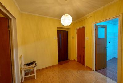 Apartament 3 Camere spatios, Parter Înalt, cu Garaj  – Deva, Zona Titu Maiorescu - 12