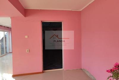 Vanzari Case / vile Giurgiu - 4