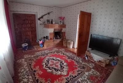 Vila 365 mp si teren aferent 5000 mp Batca Doamnei - 8