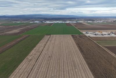 Teren Prejmer - Parc industrial - 2