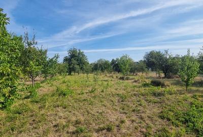 Teren 2000 mp de vânzare – Comana, deschidere la lac, aproape de Parcu - 12
