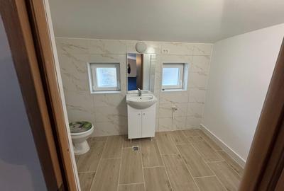 Gara de nord-vila singur curte,5 cam 140 mp,ideal firma,1100 euro - 9