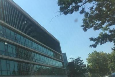 Birou, 2544 mp în Nordului