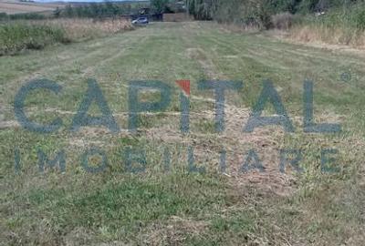 Teren extravilan 2000 mp Sarmasu - 1