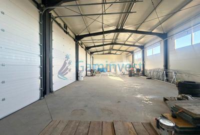 Hala industriala noua de inchiriat, Les, Bihor - 5