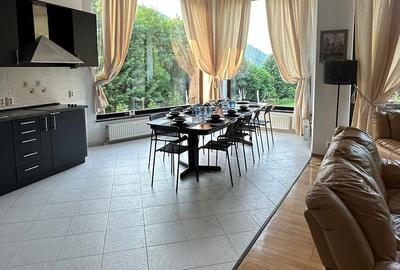 Vila la munte Brasov-Zarnesti, Piatra Craiului, Plaiul Foii, Gym, sauna, jacuzzi - 8