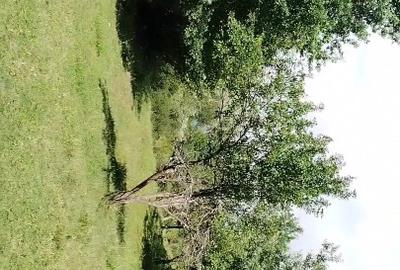 Teren extravilan de vânzare  comuna Șișești sat Șișești Maramures - 8
