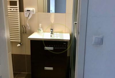 Apartament 1 Camera de inchiriat zona Centrala - 13