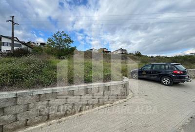 Teren Construcții intravilan de 2900 mp, în Cetate