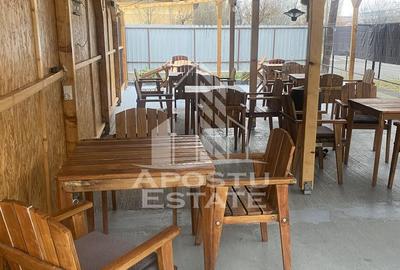 Casa unifamiliala în Timișoara,cu spațiul comercial - 4