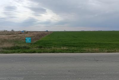 Teren extravilan 5 hectare ( zonă industrială ) Șag - 6