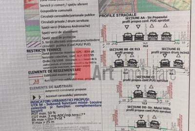 Teren Intravilan Matei Milo - 10