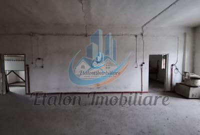 Constructie - Fosta Brutarie 400 m utili P+1 Grumazesti Neamt - 2