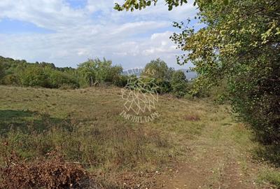 Teren  42,200 mp (4,22 hectare)-Parcelabil-investitie-Valea Jelnei - 5