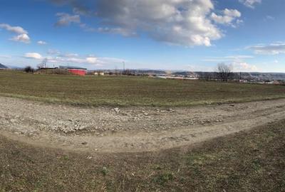 Teren intravilan de vanzare in Tg Trotus - 8
