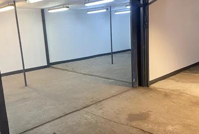 Hala pentru depozitare/productie, 810mp, zona Bulgaria - 3