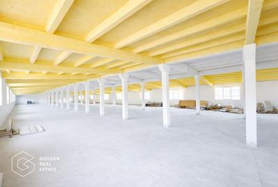 Hala moderna, pretabila pentru birouri, depozitare, 1094mp, etaj1, zona Aeroport - 1