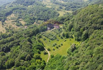 Castel de Vanzare IN MARAMURES - 9