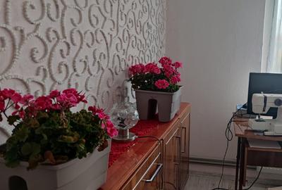 Apartament cu 3 camere de vanzare, etaj 2, - Micalaca - 2