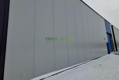 Hala depozitare -  Drumul Între Tarlale - 1