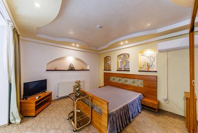 Complex HoReCa functional – 13.000 mp, venituri active, 15 km Timisoara - 14