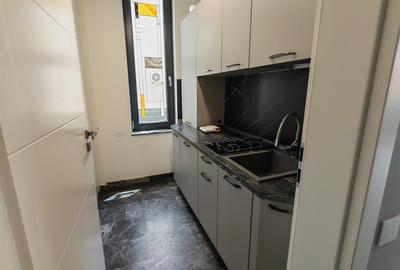 Spatiu comercial zona Trocadero-Ion Lahovari - 11