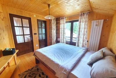 Cabana cu accesc la lac, 1400mp teren Colibita - 8