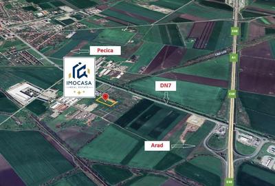 Pecica Jud. Arad Teren Extravilan zona in dezvoltare Vecinatate A1 - 2