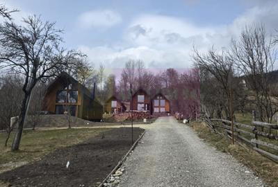 Teren intravilan de vanzare in Valea Doftanei - 12