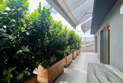 REA1019737 Triplex l 210 mp l Zona Centrala - 12