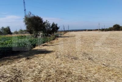 Teren Isalnita intravilan, 2500 mp, toate utilitatile - 1