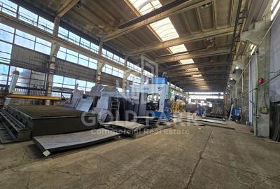 Spatiu Industrial - Campia Turzii - Pod Rulant / Acces TIR - 3