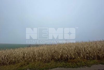 TEREN EXTRAVILAN | DOUA PARCELE 2.84 HA| DARMANESTI - 19