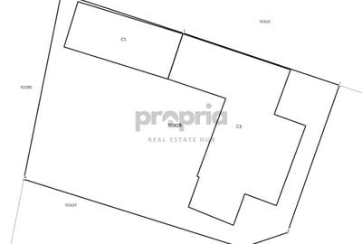 COMISION 0% - CASĂ PITOREASCĂ ÎN ACRIȘ - VAMA BUZĂULUI - 18