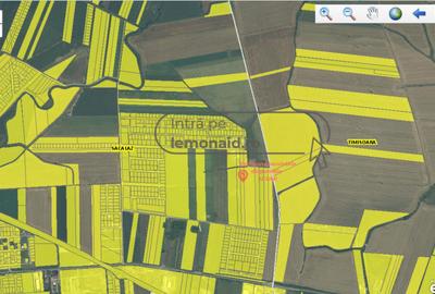 Teren 3 HA - Săcălaz - Centură Vest - Comision 0 - 3
