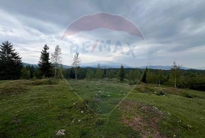 Teren extravilan parcelabil Călățele Pădure, zona Dealu Negru - 5