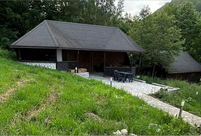Vila la munte Brasov-Zarnesti, Piatra Craiului, Plaiul Foii, Gym, sauna, jacuzzi - 16