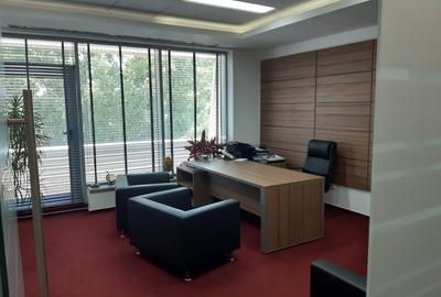 Birouri, Showroom, Sala de prezentari, Depozit , functiuni multiple - 14