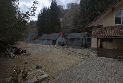 Cabana la munte Rucar / Satic - 4