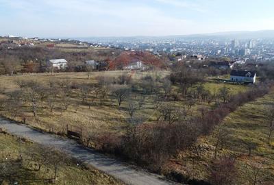Teren 20.146 mp Dâmbu Rotund (Lomb).Extravilan.Potențial rezidențial - 4