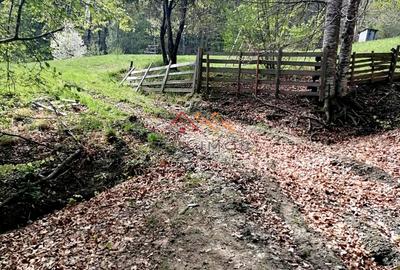 Teren Extravilan 23.000 mp | Valea Doftanei-Secăria | 11 €/mp - 4