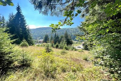 Teren Intravilan Predeal - Acces direct DN - Priveliste deosebita - 35