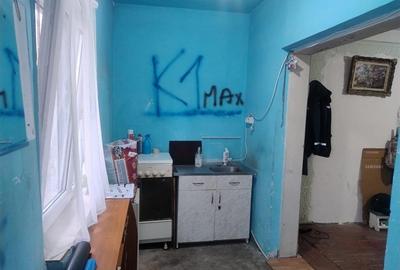 Casa 3 camere zona Centrala, teren 385 mp - 25