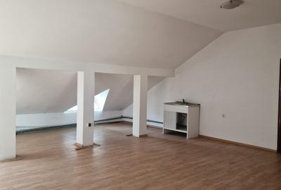 Splaiul Unirii - Calea Vitan- Mihai Bravu - Vila moderna - 330 mp, P+1E+M, garaj - 27