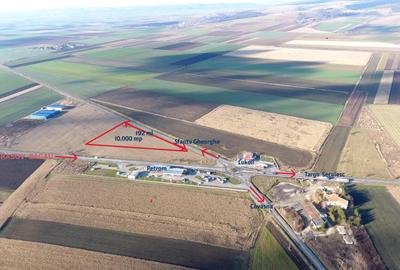 Teren Construcții intravilan de 10000 mp, în Reci