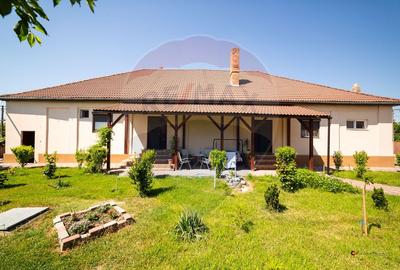 Casă individuală cu 8 camere în Turnu